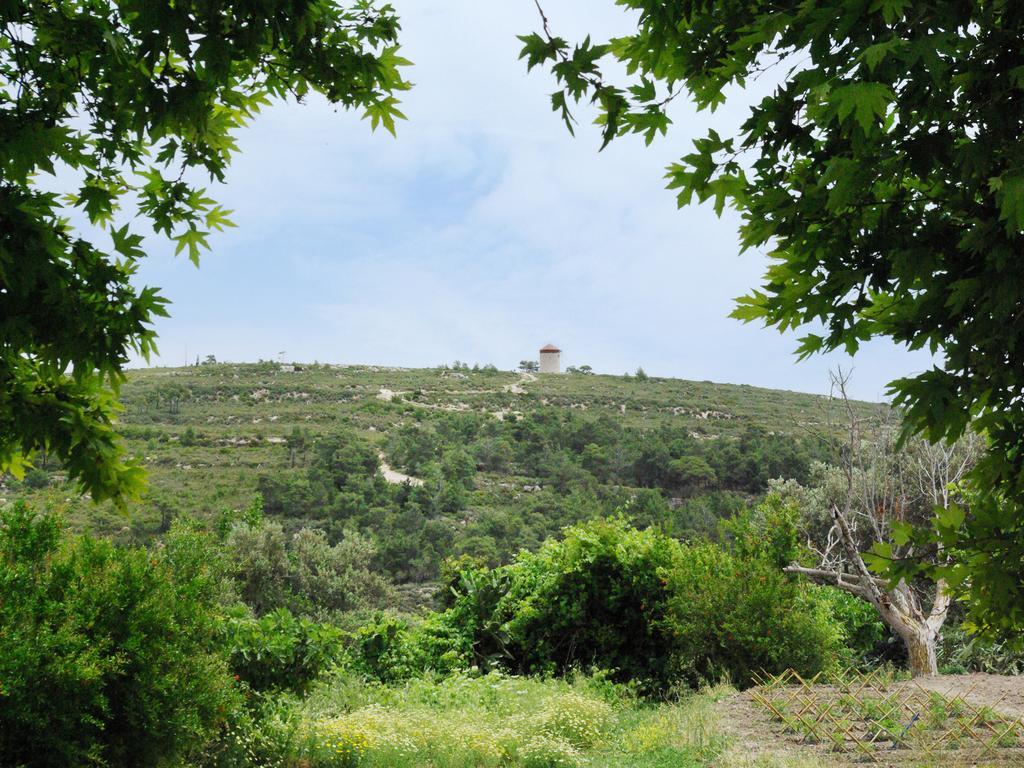 Holiday home Greek House